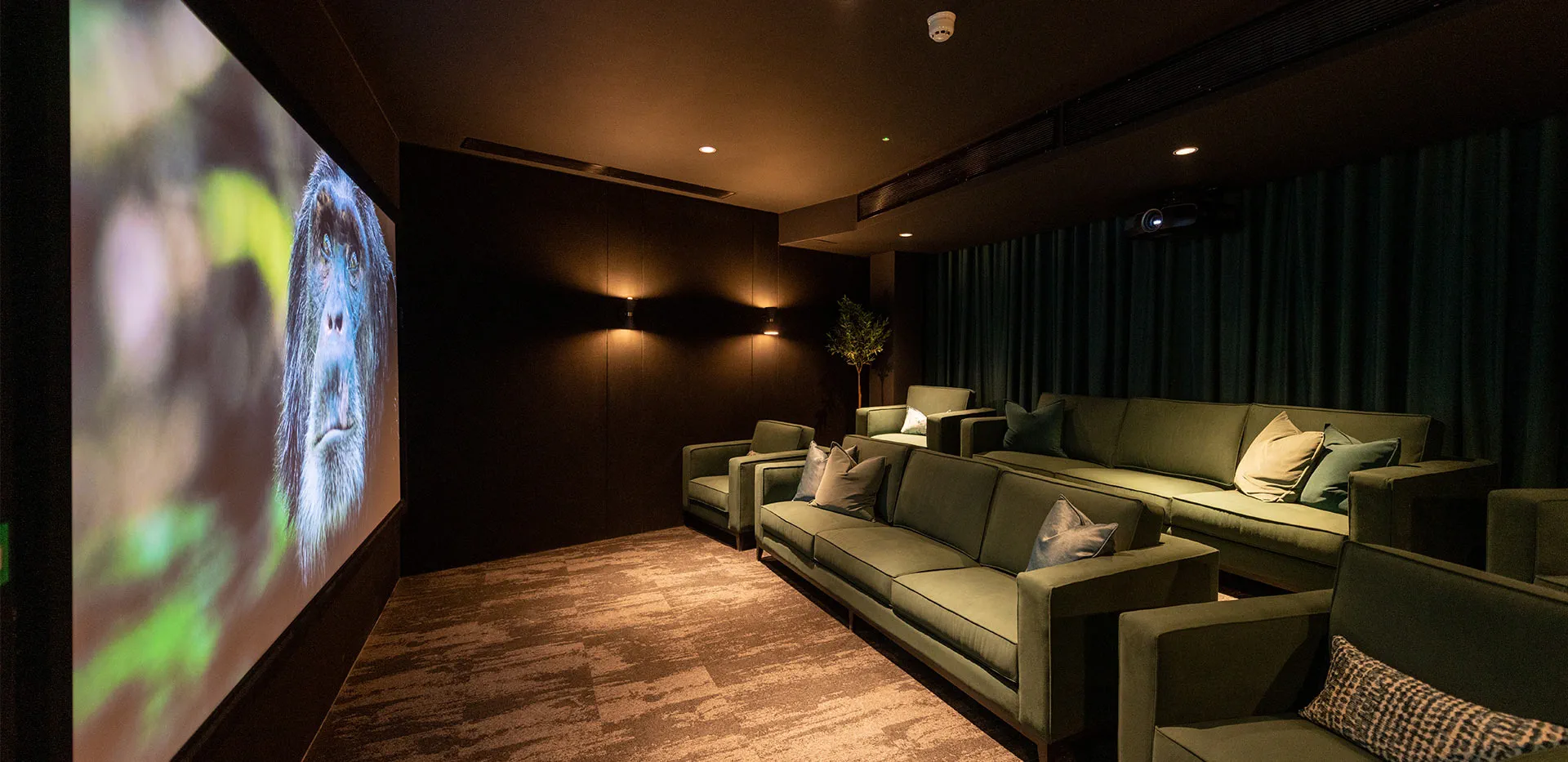 Bankside Gardens Gallary Residents Club Cinema