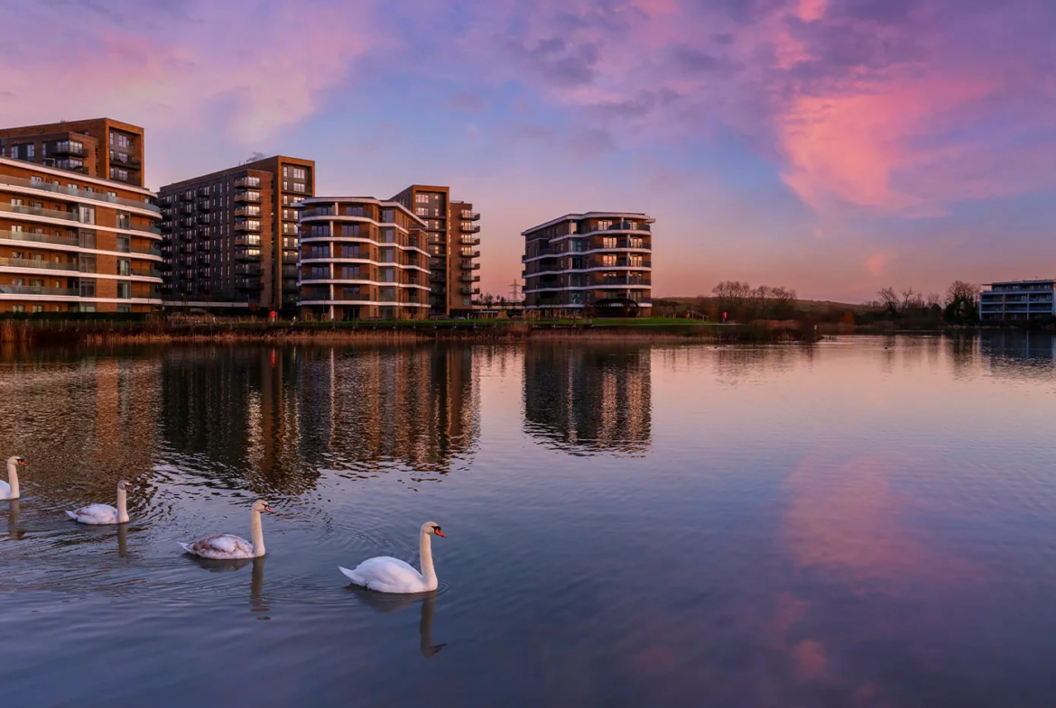 Bankside Gardens Green Park Reading Lake Sunset View