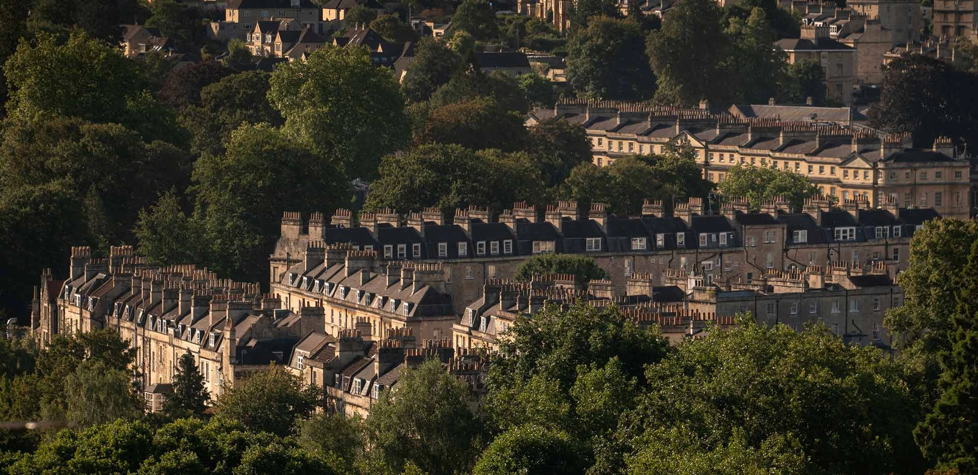 Bath Ivy Covered Building Classic