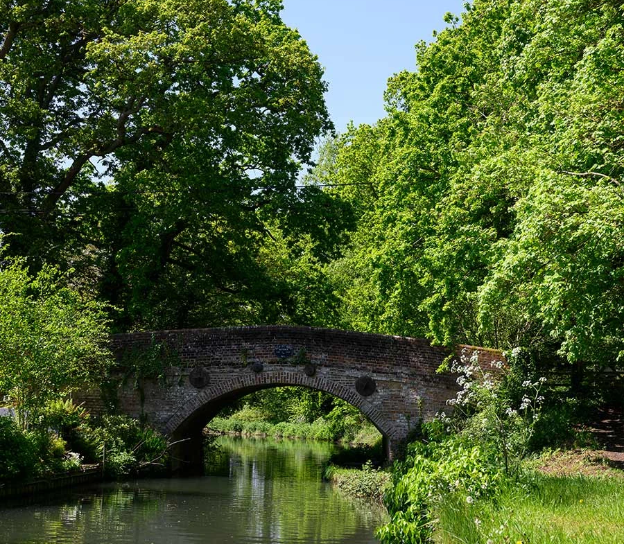 Crookham Village Fleet Canal Bridge Nature Walk