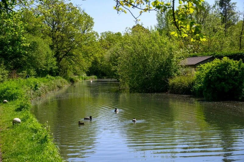 Crookham Village Fleet Canal Nature Walk Greenery