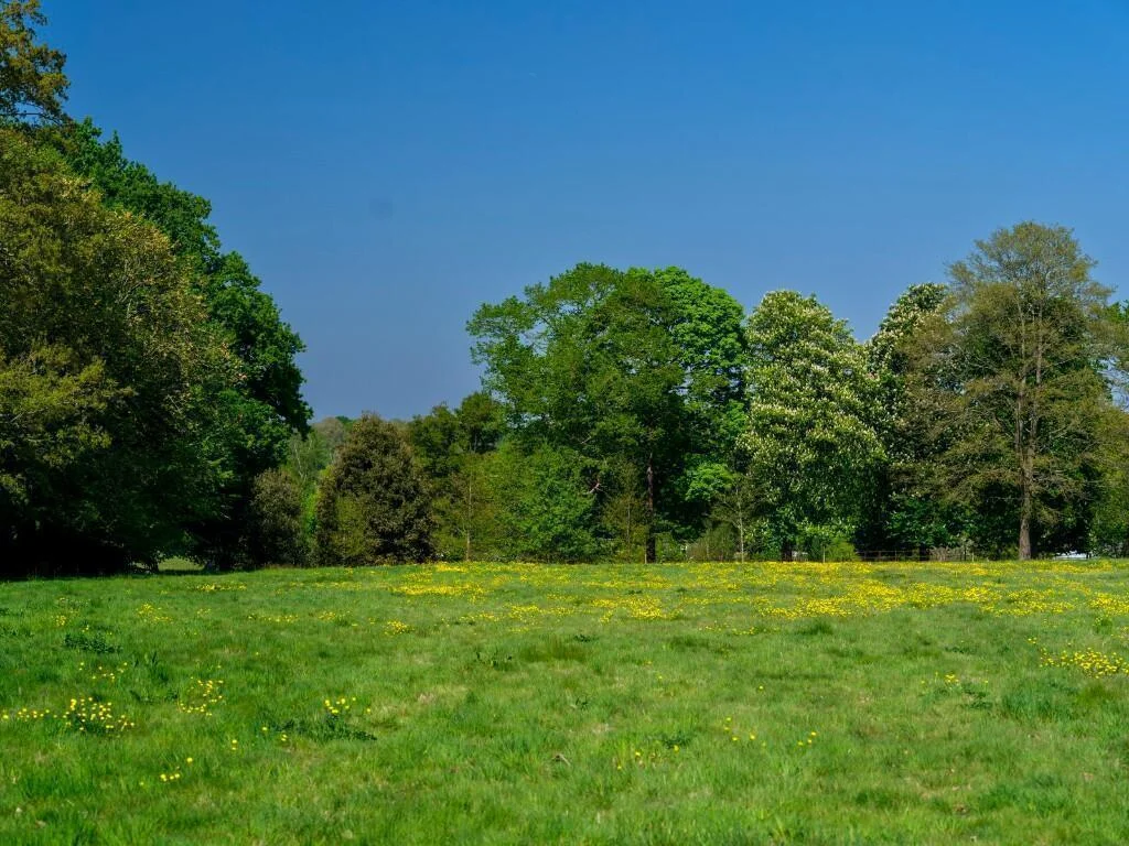 Oakhill Hildenborough Wildflower Field Landscape
