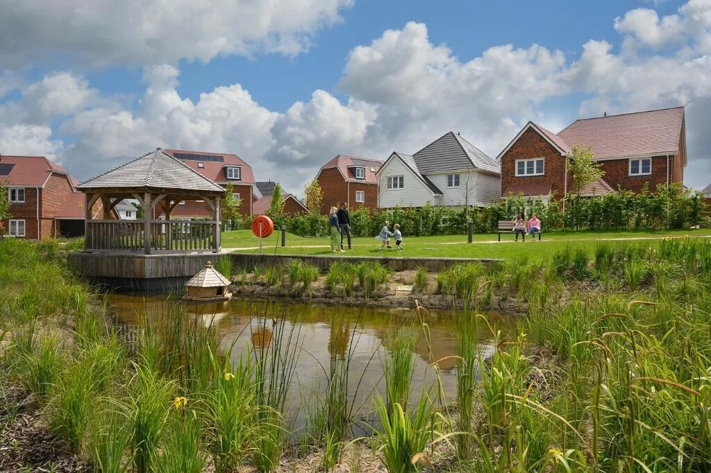 Paddock Wood Community Pond Green Space