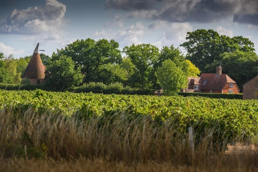 Paddock Wood Countryside Landscape View
