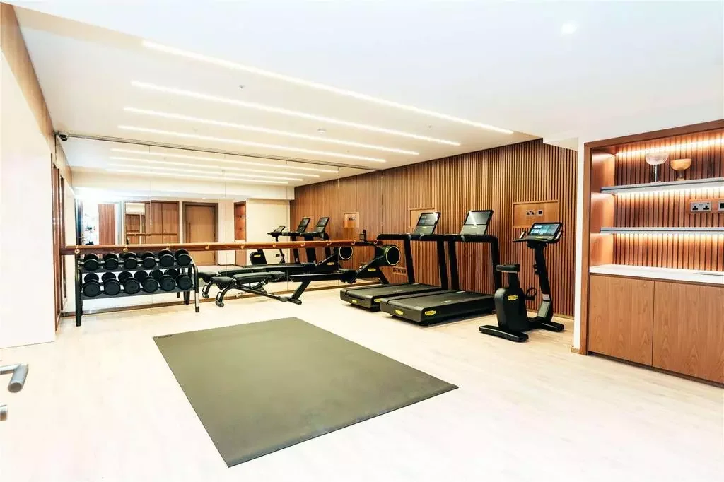 The Lucan Chelsea Residents Private Gym Treadmill Weights London Sw3