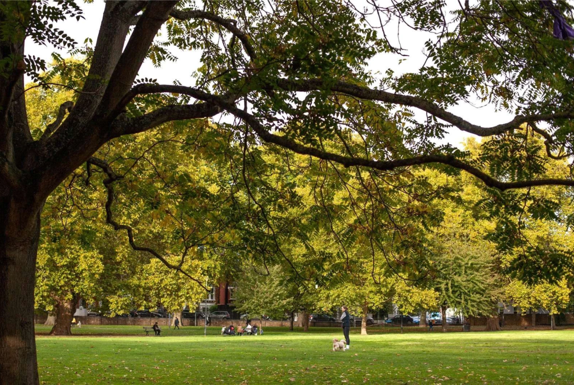 Hurlingham Waterfront Sw6 London Nearby Park Autumn Trees Dog Walking Fulham Green Space