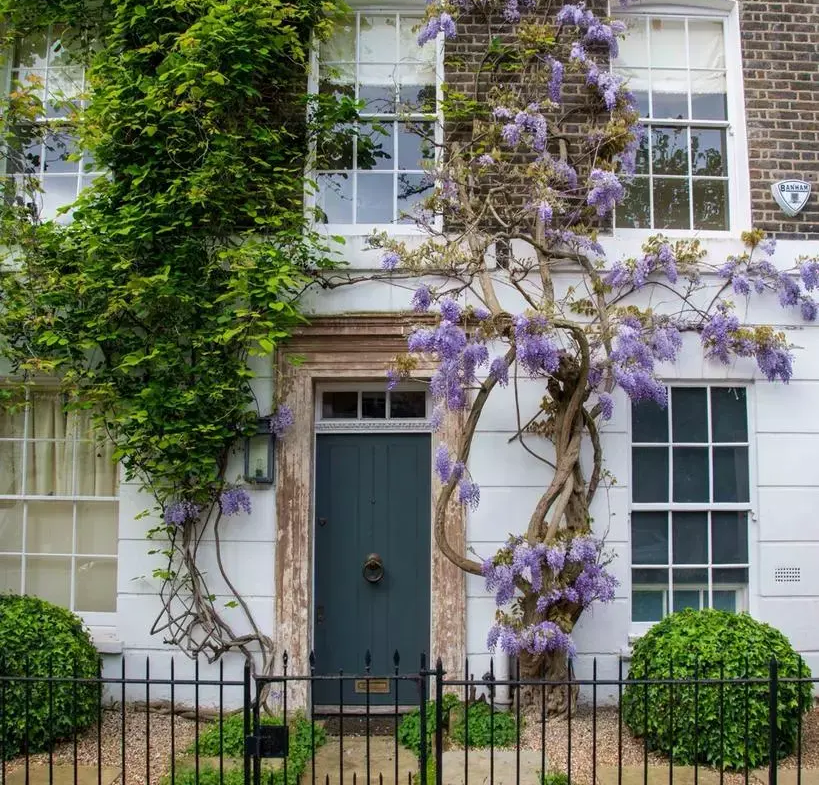 London Square 50 Brook Green Hammersmith W6 Brook Green Wisteria Townhouse