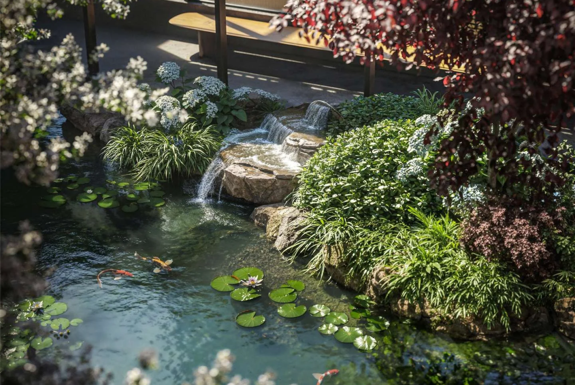 The Capston Embassy Gardens Nine Elms Sw11 London Courtyard Koi Pond Waterfall Japanese Garden