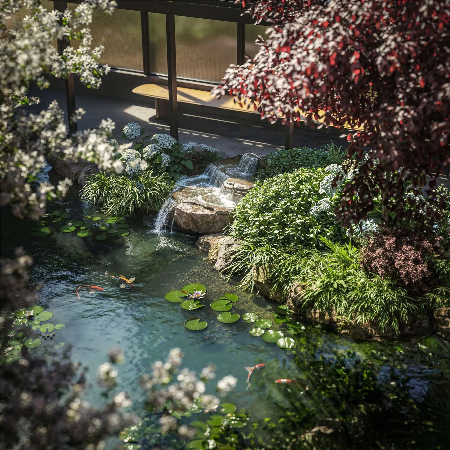 The Capston Embassy Gardens Nine Elms Sw11 London Private Garden Koi Pond Waterfall Japanese Maple Lily Pads Landscaped
