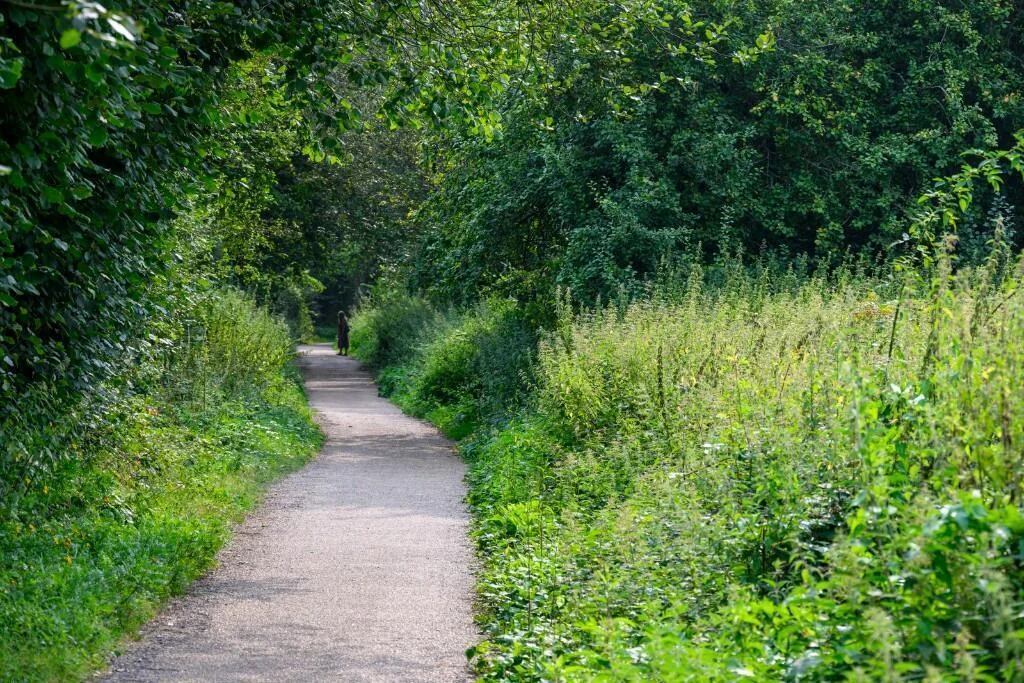 Leighwood Fields Cranleigh Downs Link Walking Path Gu6
