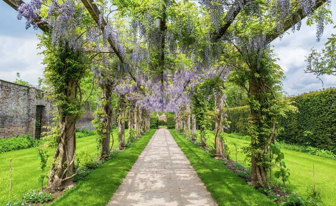 Trent Park Walled Gardens Wisteria Walkway Enfield London En4