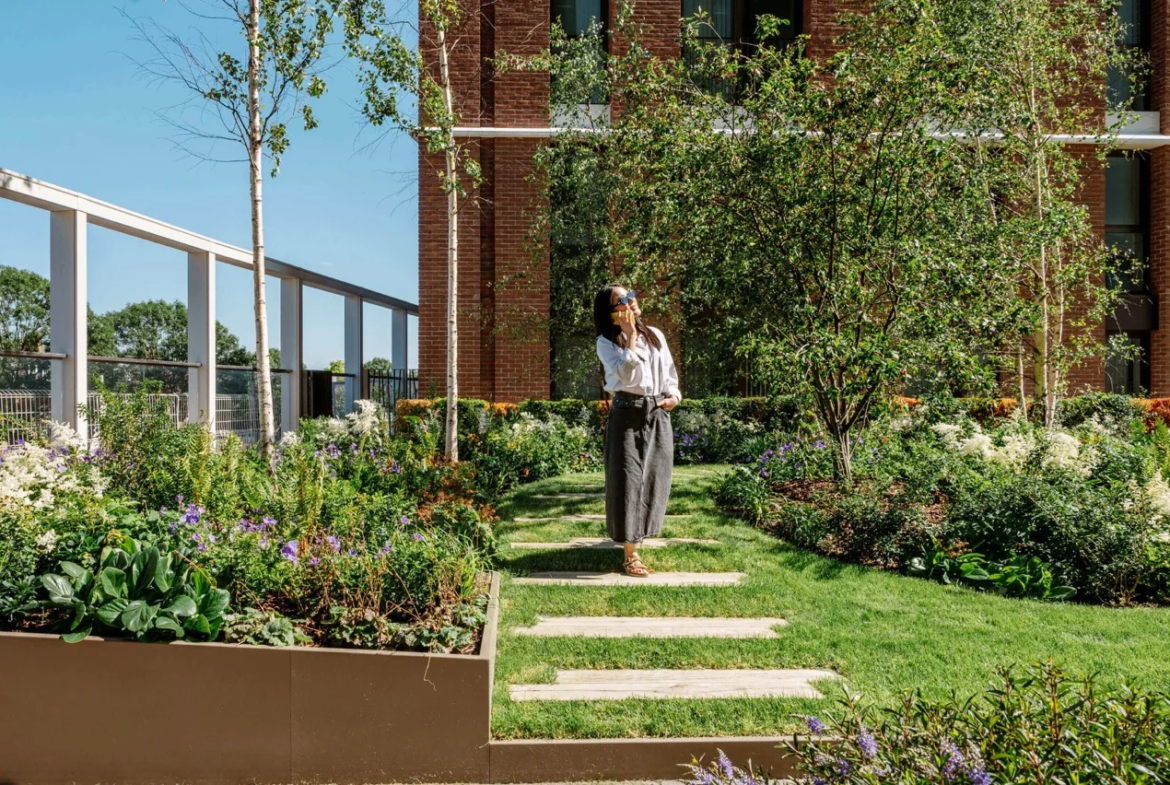 Twelvetrees Park London E16 Landscaped Podium Garden Residents