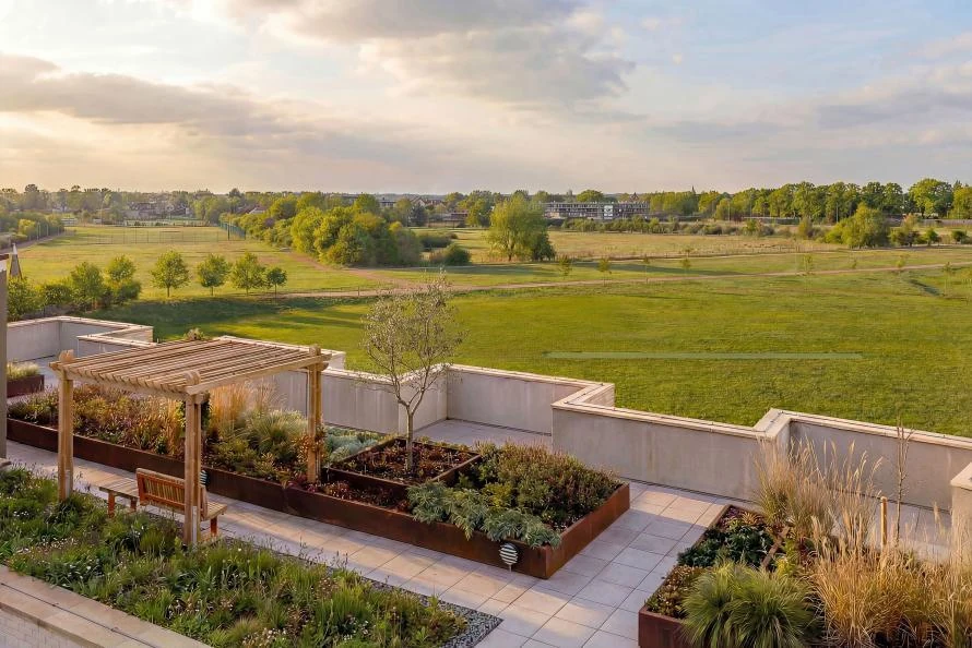 Cambridge The Icon Rooftop Garden